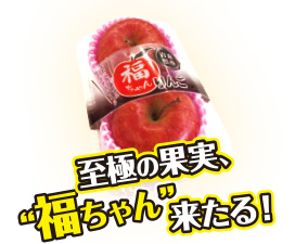 青森県産　福ちゃんサンふじりんご