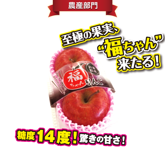 青森県産 福ちゃんサンふじりんご